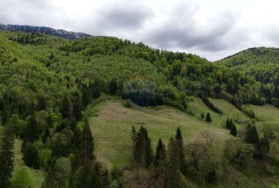 Extravilan + Intravilan | Sătic-Rucăr | Cadru natural | Turistic - 1