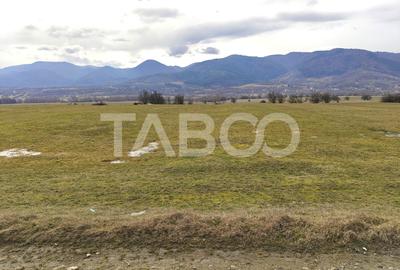 Teren intravilan 10000 mp cu acces din DN 1 - COMISION 0 - 4