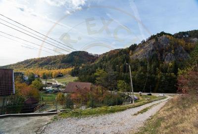VANZARE / SCHIMB  PENSIUNE in zona de munte, langa Pestera Muierilor - 4