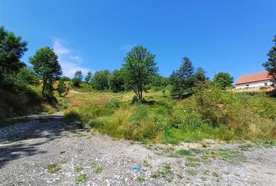 Teren Intravilan in zona Trei Ape, 6889 Mp., 14,5 Euro Mp., Brebu Nou - 3