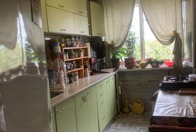 Apartament 3 camere Nicolae Grigorescu-Camil Ressu - 5