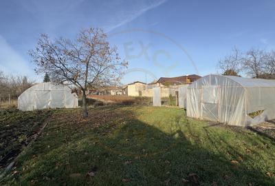 Casa 4 camere cu Teren 2.974 mp | Rezidenta sau afacere | Carei - 10