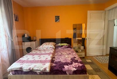 Locuinta in Ticu-Colonie (Casa de vacanta la un pret corect!) - 5