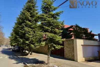 Casa de Inchiriat | Baneasa | 1.600 mp Curte - 11