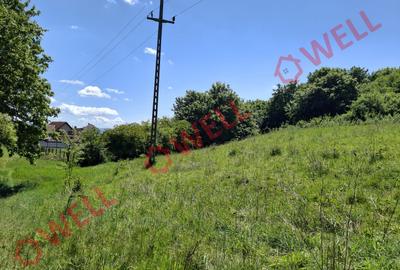 De vânzare teren intravilan de 30 000 m² (3 ha) în Reghin - 5