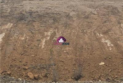 Teren 55.500 mp Snagov Lac - 3