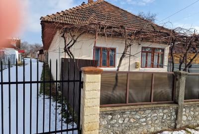 Casă individuală cu 3 camere în Baia de Fier
