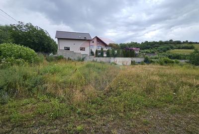 Teren intravilan 2700 mp, Moara-Bulai / Strada Hagigadar, Suceava - 12