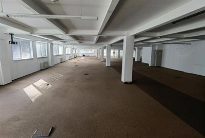 Spatii birouri/servicii - 48