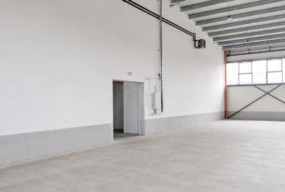 Hala noua de inchiriat, Parcul Industrial III, Uzinelor, Oradea, Bihor - 4
