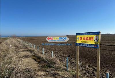 Teren intravilan 47.400 mp, Vama Veche, 200 m de Marea Neagra - 4