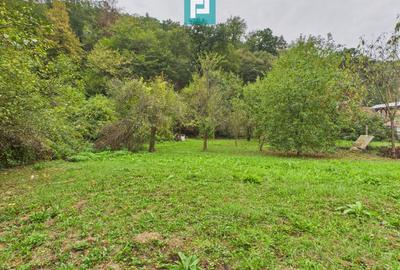 Teren de 1000mp în Lipova pentru o casă de vacanță - 2