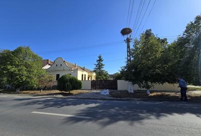 Cenad-Ultracentral-2 fronturi- Casa cu ahitectura deosebita - 20