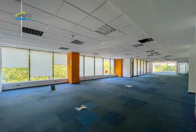 Spatiu de birouri Etaj 1 cu receptie exclusiva cladirea Delea Noua 2 - 7