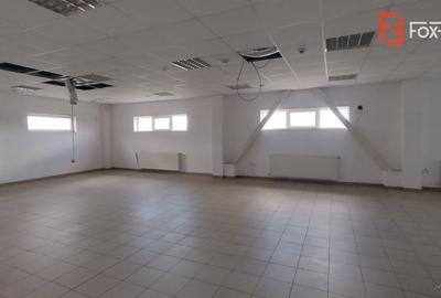 COMISION 0% Hala de productie si depozitare, corp administrativ si birouri - 53