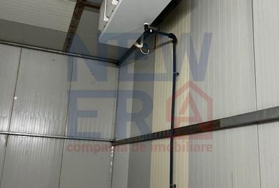 DE VANZARE Platforma cu  2 hale de 2074 mp amplasate pe un teren de 8762 mp - 12