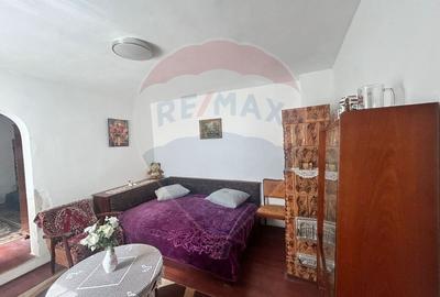 Casă / Vilă cu 4 camere de vânzare în zona Gheorghe Doja - 11
