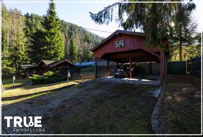 Cabană 210 m² + teren 1400 m² | Sălard, Mureș - 18