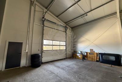 Hala depozitare/ productie 250 mp de inchiriat, Tatarani, acces TIR - 11