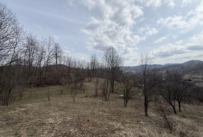 Teren 6040 mp la baza pădurii deschidere 40 ml - 8