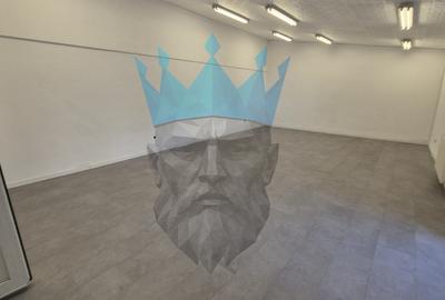 Spatiu Birou Titulescu / Victoriei - 1