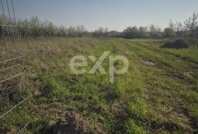 Teren Construcții intravilan de 6835 mp, în Rucăr