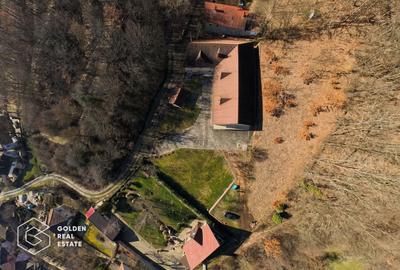 Proprietate pretabila pentru afacere, Cladova - 40