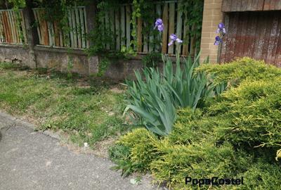 Teren Construcții intravilan de 1000 mp, în Central