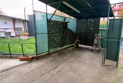 Spațiu de închiriat Drumul Sării, casa, 100 mp curte liberă - 9