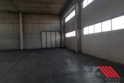 Hala depozitare  - Logistica  C. Lugojului acces TIR - 7