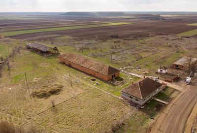 Fermă cu teren intravilan de 35000 mp în Mișca - 12