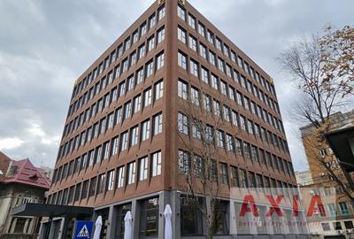 Birou, 367 mp în Universitate