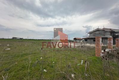Teren in Sacalaz | Toate utilitatile | Cu proiect  | Casa Indiv | - 3