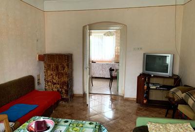 Casa individuala în Otelec - 3.313 mp teren - 2 fronturi stradale - 14