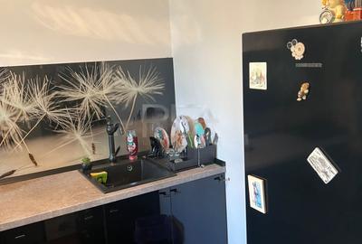 Apartament 2 camere Bulevardul Ion Mihalache - 4