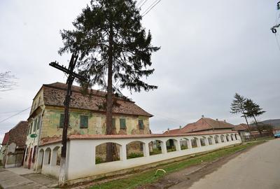 CONACUL BRUKENTHAL - 3