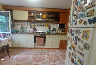 Snagov- Gruiu- Santul Floresti -Proprietate cu stil pentru oameni gospodari! - 26