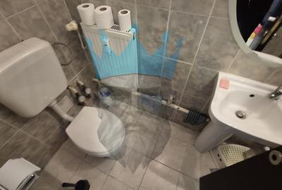 Apartament 3 Camere Domenii Bucuresti - 12