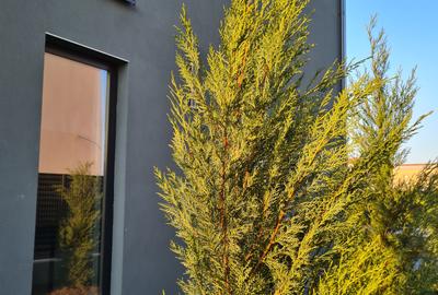 OMNIA. Nordisk elegans, maximal komfort. Kampanjpris Gratis för fantasin! - 11
