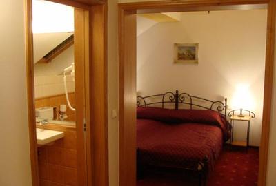 Super proprietate, :  hotel de 4 stele , 19 camere la cheie, teren 6200 mp - 11