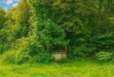 Domeniu verde autentic,  +5.000mp, front la DJ, Valcele, Brasov -- Covasna - 5