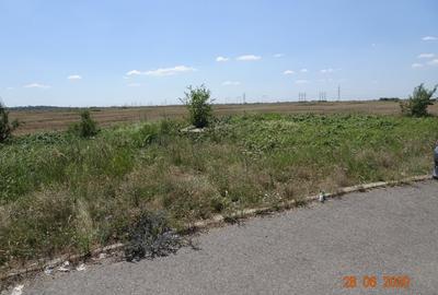 Teren Hornbach, stradal - 3