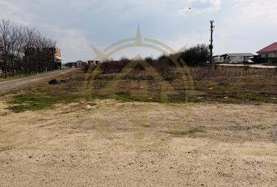 DOM00405 - Teren intravilan 2500 mp | deschidere 17 ml | Tamasi - 3