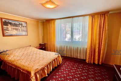 Proprietate Excepțională cu Potențial Dublu în Valea Ursului, Argeș - 9