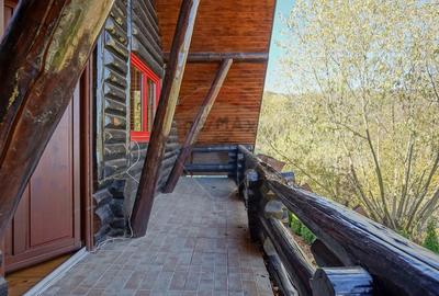 CASA INCONJURATA DE NATURA | DIN BUSTENI | 8 CAMERE | TIMISUL DE JOS - 31