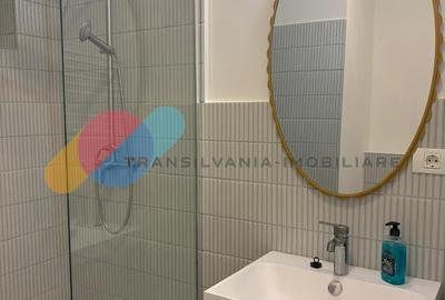 Apartament 2 Camere, 40mp, zona Horea, in vila, curte interioara - 5