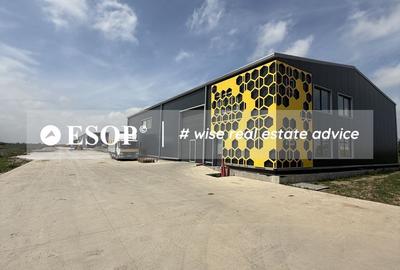 Spațiu industrial, 600 mp în Rudeni