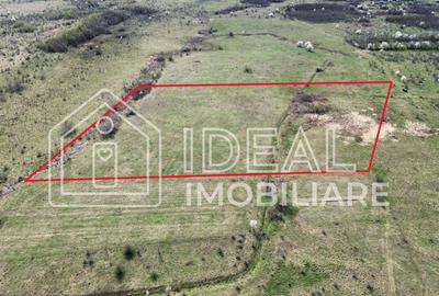 Teren 25.500 mp Valea Avrigului - 1