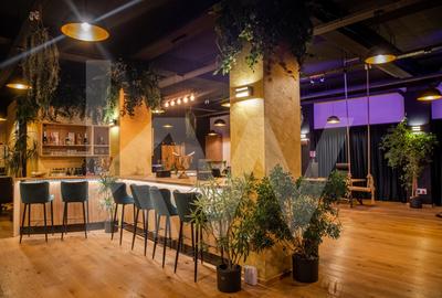 Spatii birouri de inchiriat coworking utilitati incluse Arhitectilor - 1