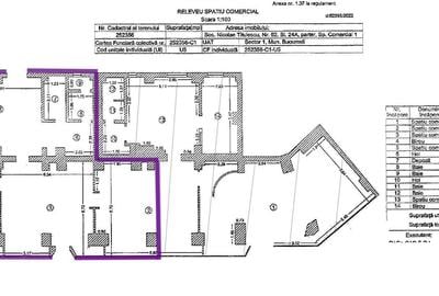 Spațiu Comercial Titulescu 62 | 131 mp | Vizibilitate Maximă - 11
